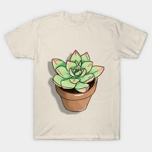 Blushing Succulent T-Shirt